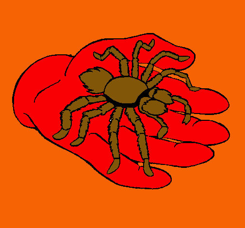 Tarántula