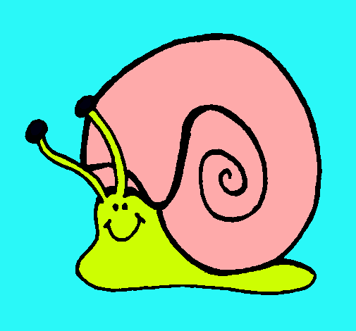 Caracol 