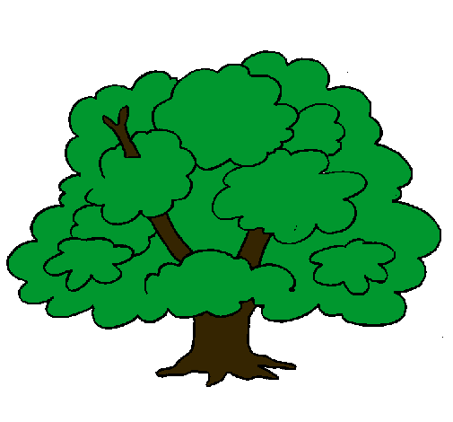 Árbol