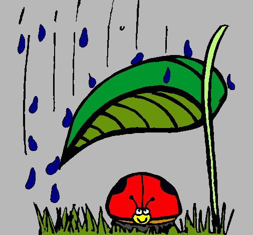 Mariquita protegida de la lluvia