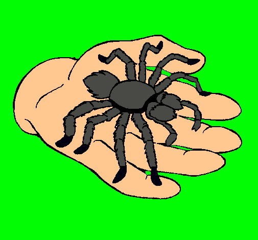 Tarántula