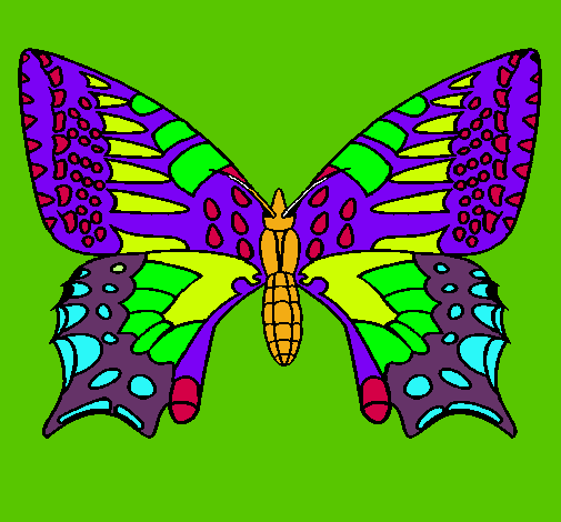 Mariposa 5