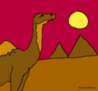 Dibujo Camello pintado por carloos