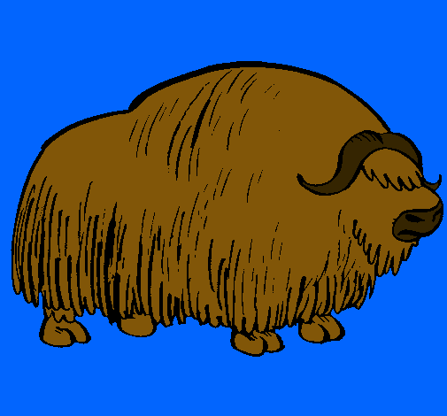 Bisonte