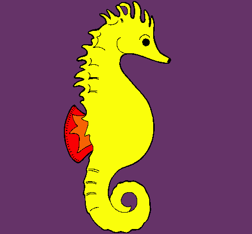 Caballito de mar