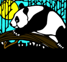 Dibujo Oso panda comiendo pintado por popoy