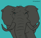 Dibujo Elefante africano pintado por lurdes22