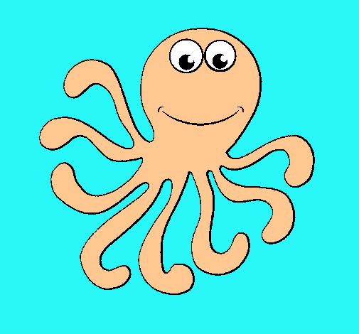 Pulpo 2