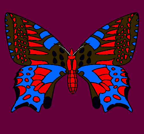 Mariposa 5