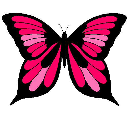 Mariposa