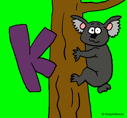 Koala