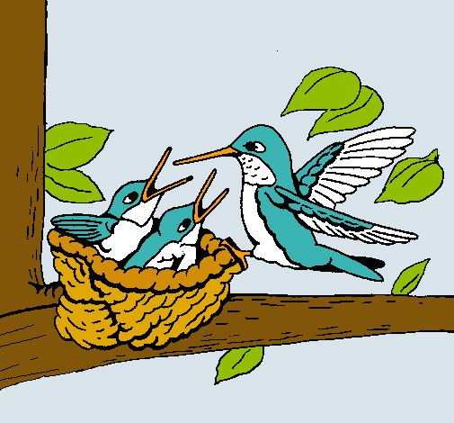 Dibujo Familia colibrí pintado por Alive