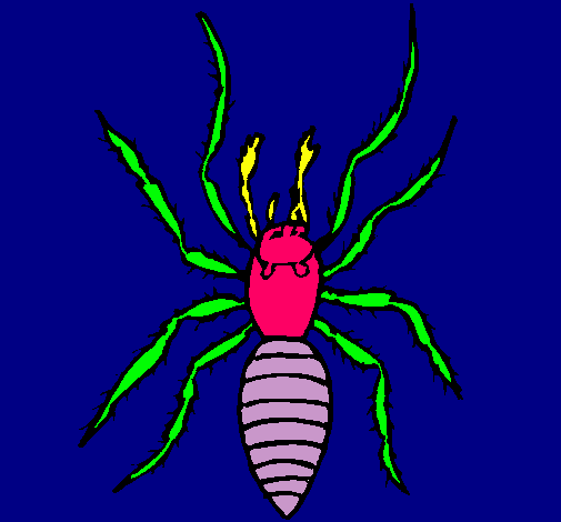 Araña tigre