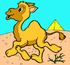 Dibujo Camello pintado por vaca