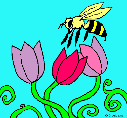 Abeja