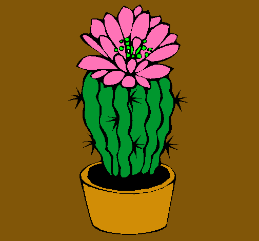 Cactus con flor