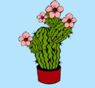 Dibujo Flores de cactus pintado por lurdes22