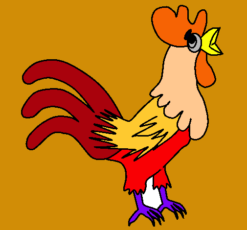 Gallo