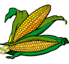 Dibujo Mazorca de maíz pintado por QUSQUSARA