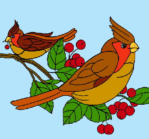 Dibujo Pájaros pintado por Pachincito