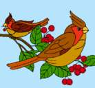 Dibujo Pájaros pintado por Pachincito