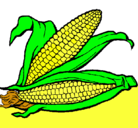 Dibujo Mazorca de maíz pintado por frank11