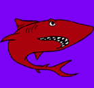 Dibujo Tiburón pintado por stephano