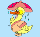 Dibujo Pato bajo la lluvia pintado por elyzabet