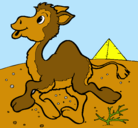 Dibujo Camello pintado por esperanza12