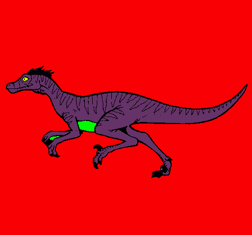 Velociraptor