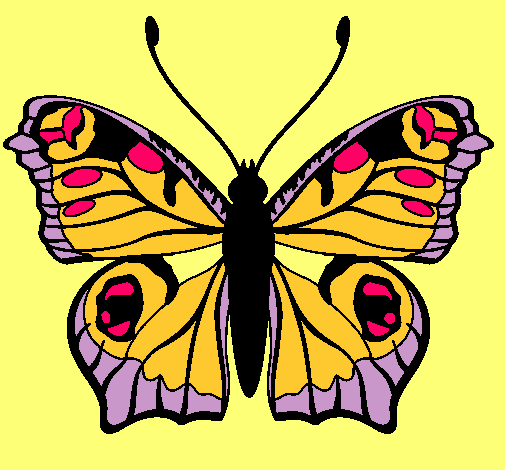 Mariposa 