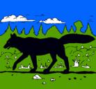 Dibujo Coyote pintado por lucasgomez  