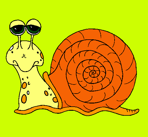 Caracol