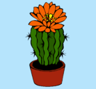 Dibujo Cactus con flor pintado por Pachincito