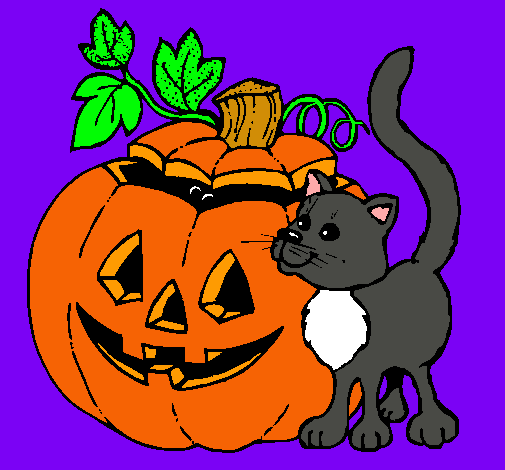 Calabaza y gato