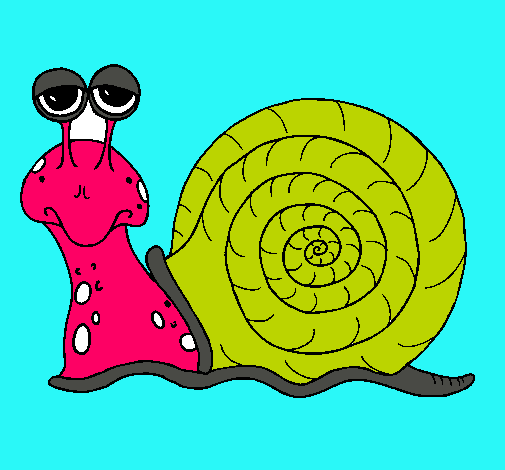 Caracol