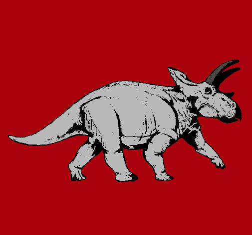 Triceratops