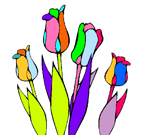 Tulipanes