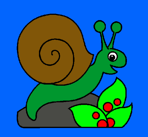 Caracol