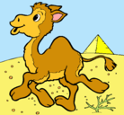 Dibujo Camello pintado por danicastejon