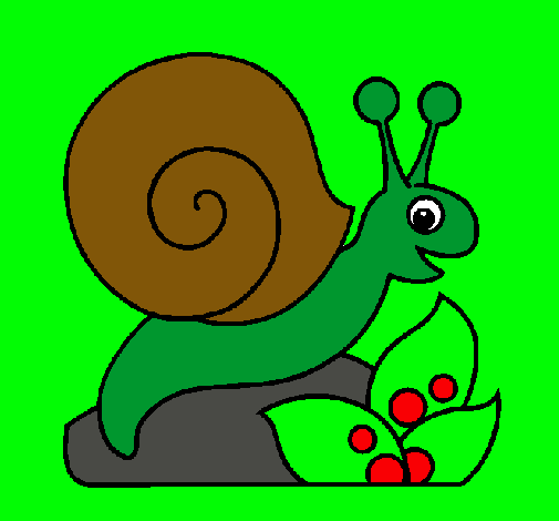 Caracol