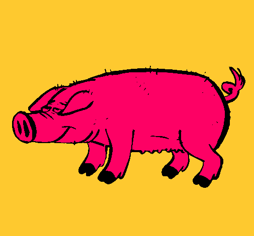 Dibujo Cerdo con pezuñas negras pintado por babijunio