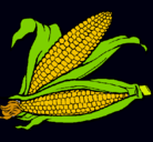 Dibujo Mazorca de maíz pintado por bbbbbbbbbbbb