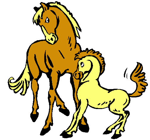 Caballos