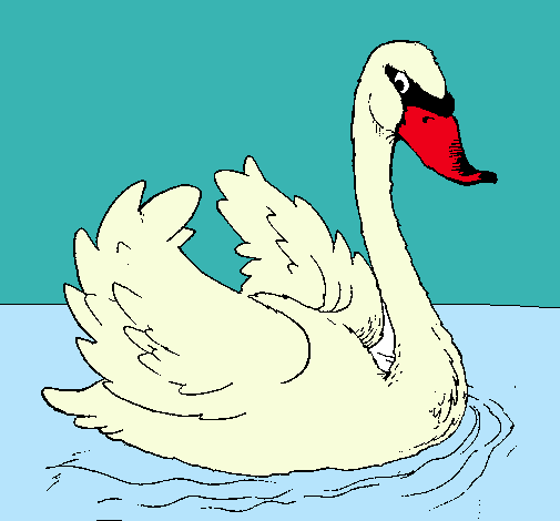 Dibujo Cisne en el agua pintado por palmdan