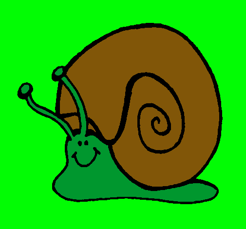 Caracol 