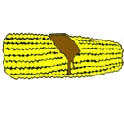 Dibujo Mazorca de maíz pintado por abraham201