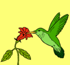 Dibujo Colibrí y una flor pintado por Pachincito