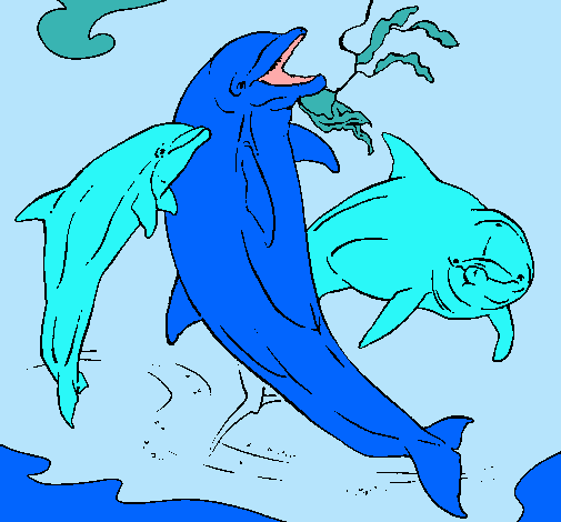 Dibujo Delfines jugando pintado por MARICEL