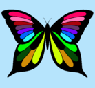 Dibujo Mariposa pintado por florchis